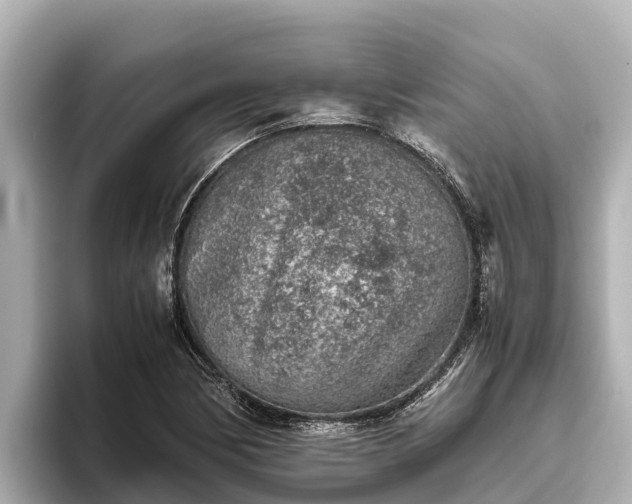 X0000096421170200801311406