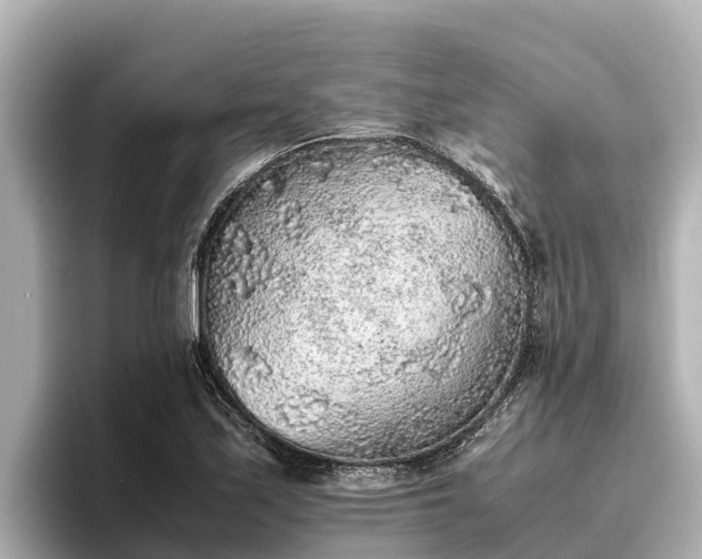 X0000096421171200801311406