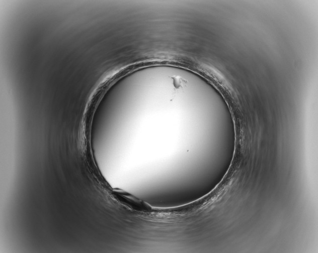 X0000096421172200801311406