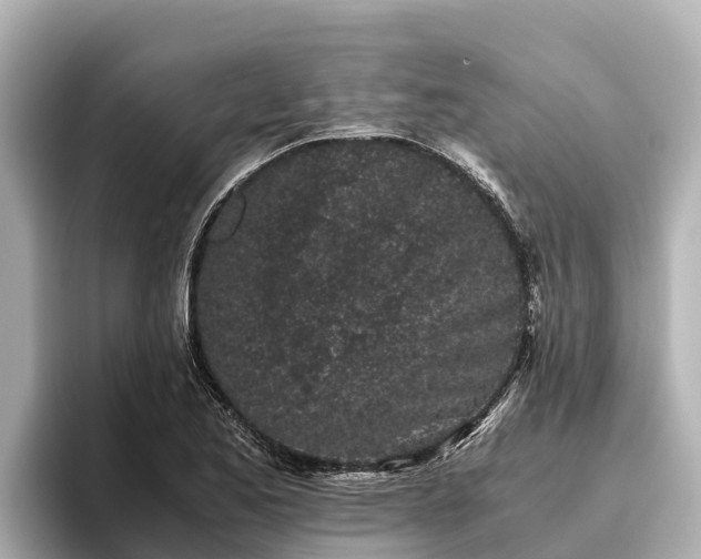 X0000096421173200801311406