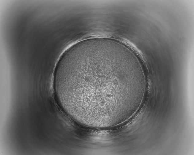 X0000096421174200801311406