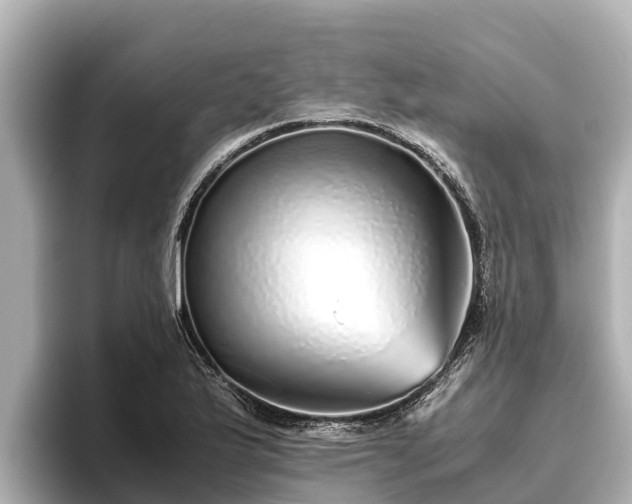 X0000096421175200801311406