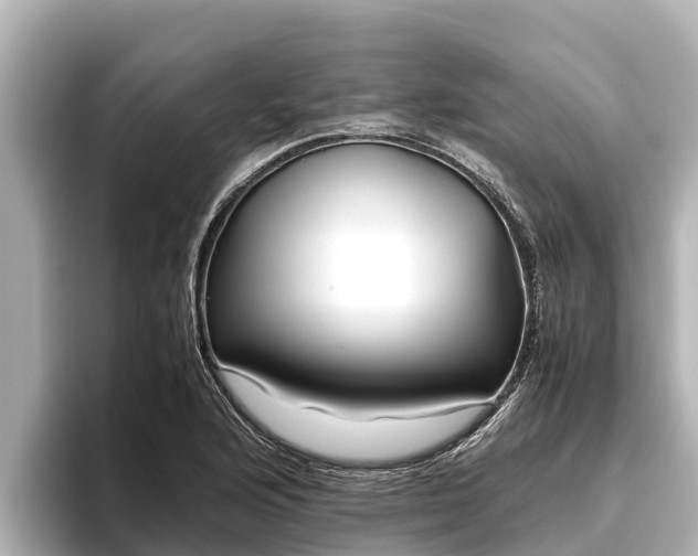X0000096421176200801311406