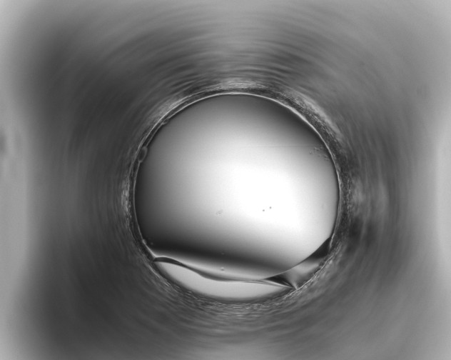 X0000096421177200801311406