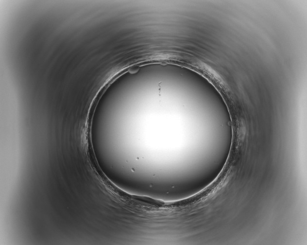 X0000096421178200801311406