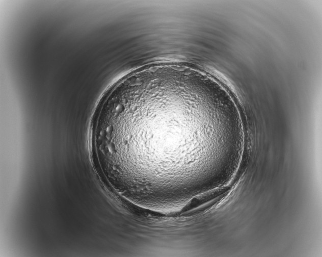 X0000096421179200801311406