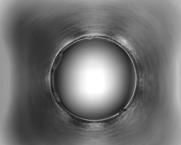 X0000096421181200801311406