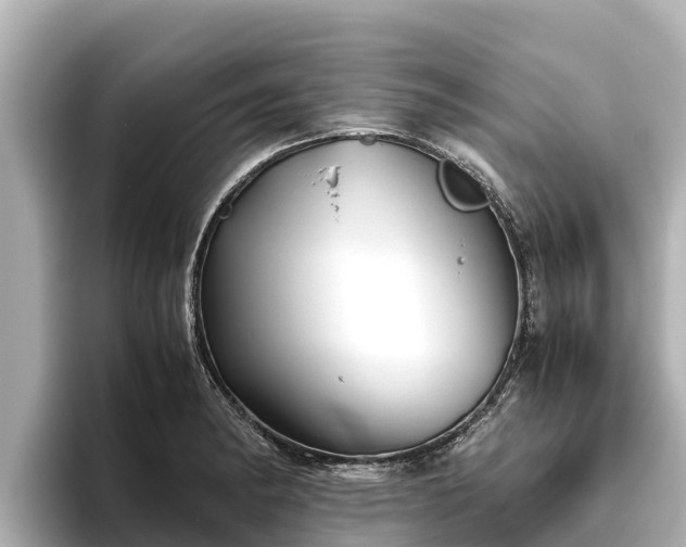 X0000096421182200801311406