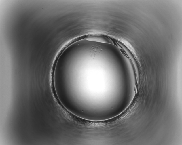 X0000096421183200801311406