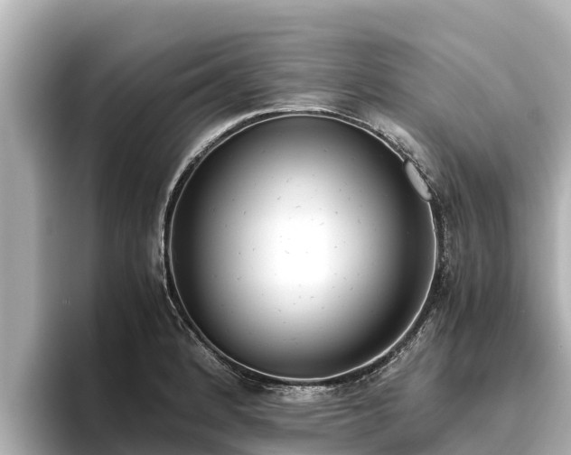 X0000096421184200801311406