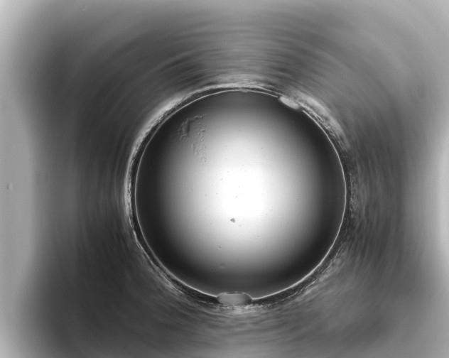 X0000096421188200801311406