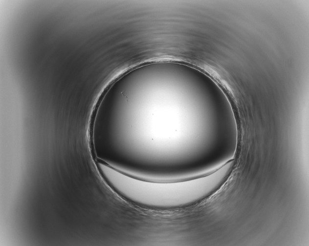 X0000096421189200801311406