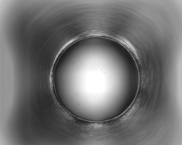 X0000096421190200801311406