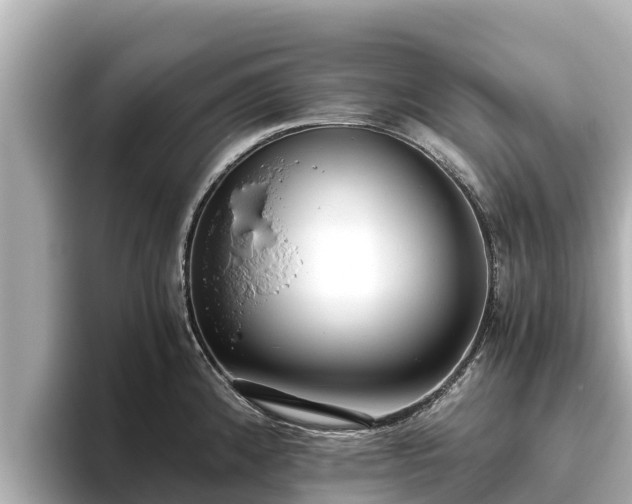 X0000096421192200801311406