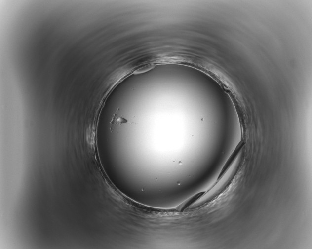 X0000096421193200801311406