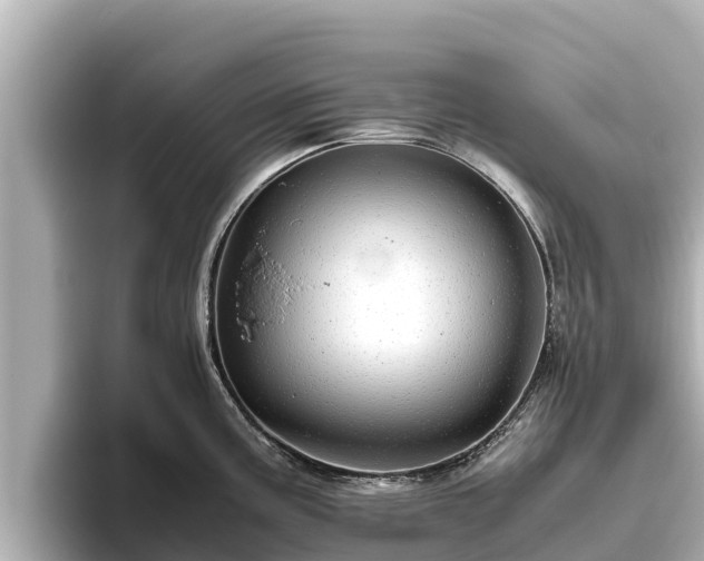 X0000096421195200801311406