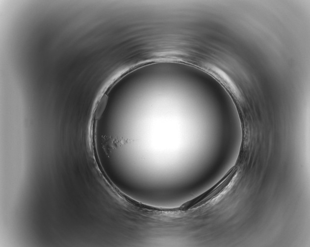 X0000096421196200801311406