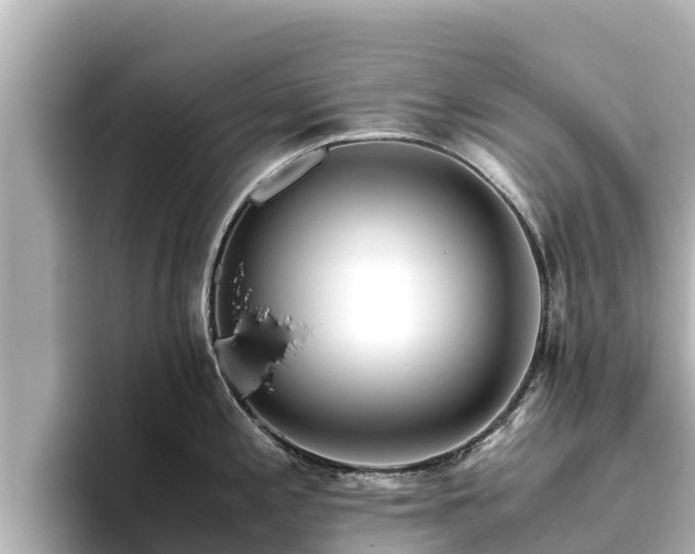 X0000096421197200801311406