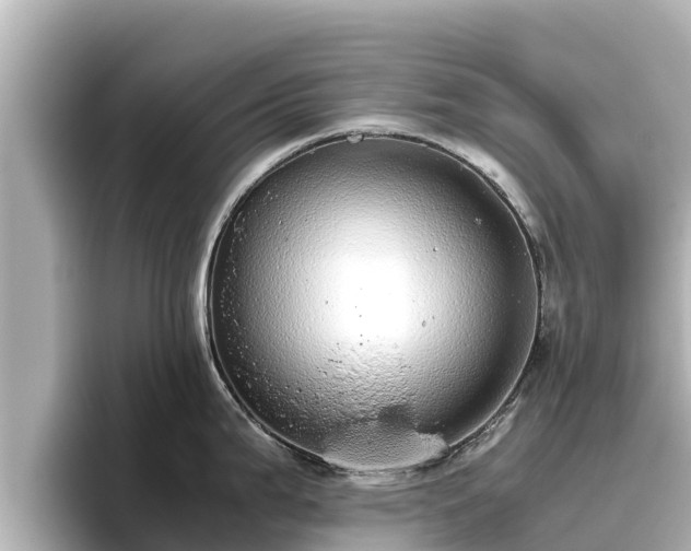 X0000096421199200801311406