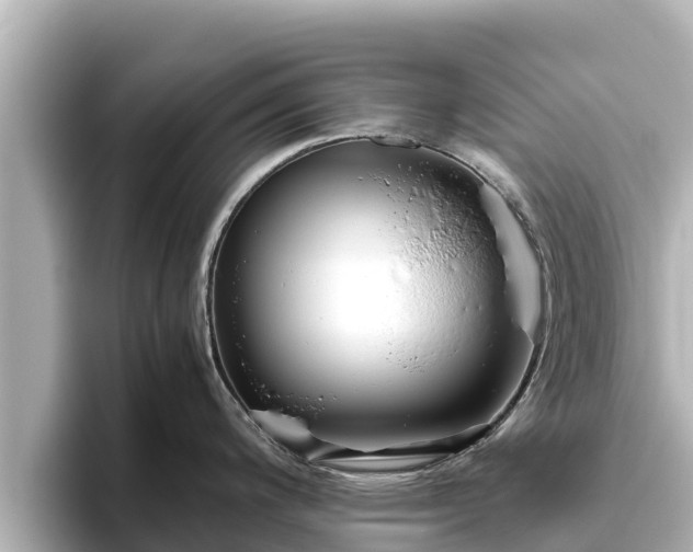 X0000096421200200801311406