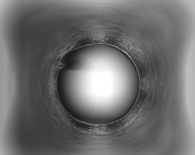 X0000096421201200801311405