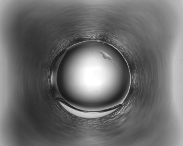 X0000096421202200801311405