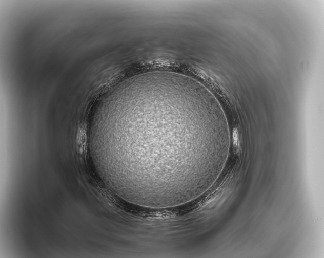 X0000096421203200801311405