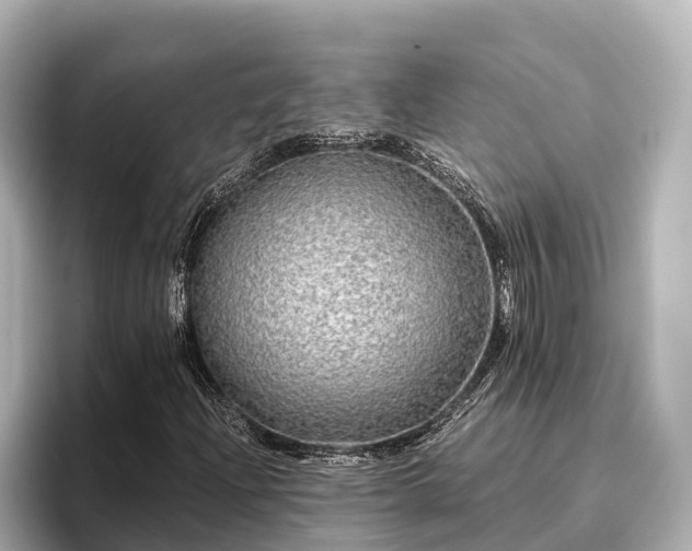X0000096421204200801311405