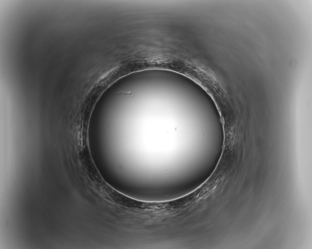 X0000096421205200801311405