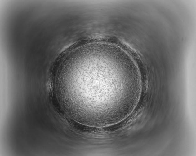 X0000096421206200801311405