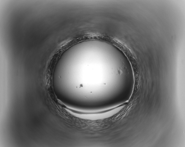 X0000096421207200801311405