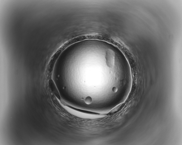 X0000096421208200801311405