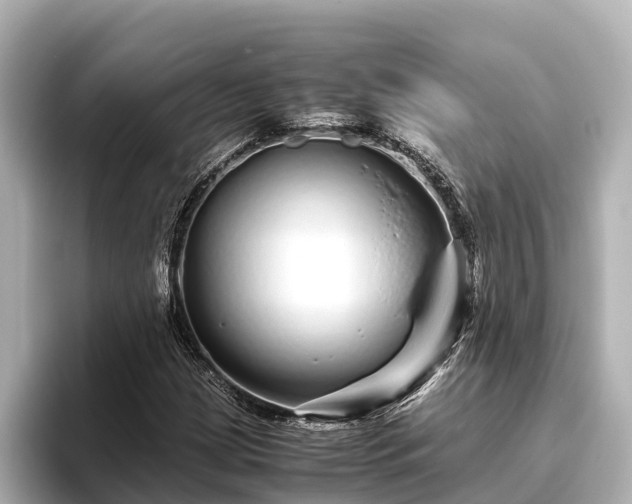 X0000096421209200801311405
