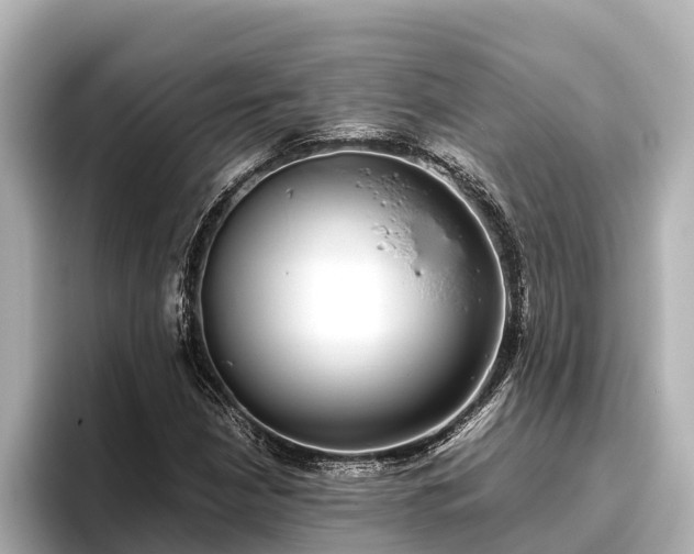 X0000096421210200801311405