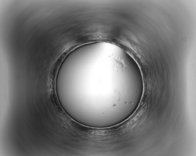 X0000096421211200801311405