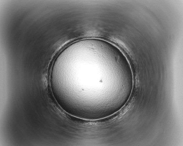 X0000096421212200801311405