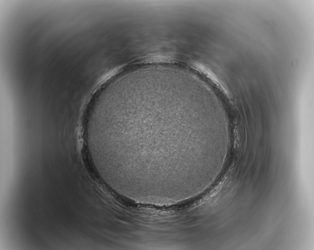 X0000096421213200801311405