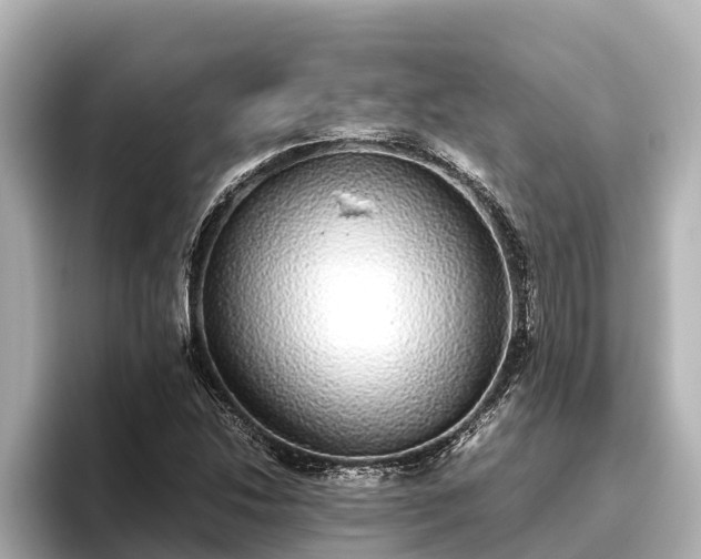 X0000096421214200801311405