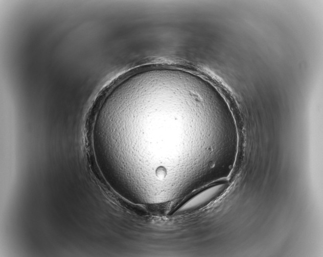 X0000096421215200801311405