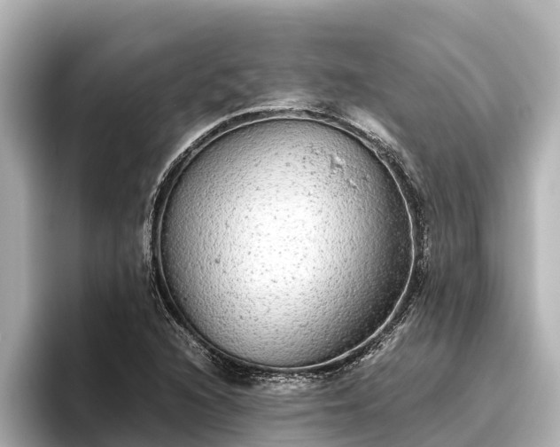 X0000096421216200801311405