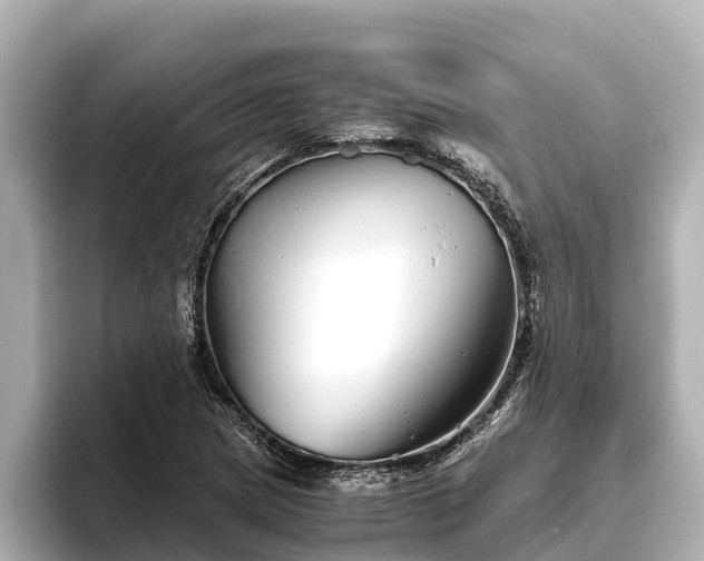 X0000096421217200801311405