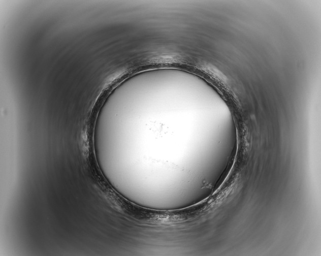 X0000096421218200801311405