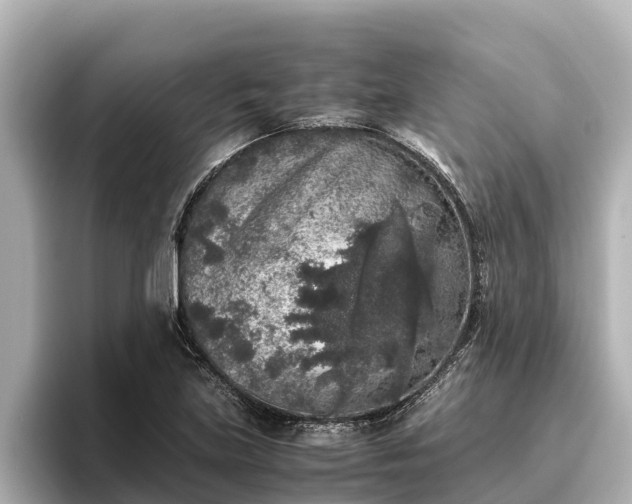 X0000096421219200801311405