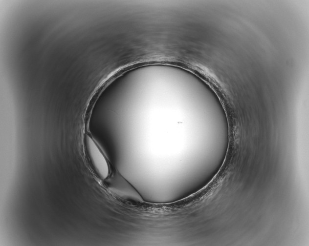 X0000096421220200801311406