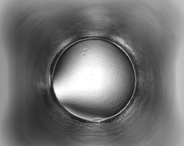 X0000096421221200801311406