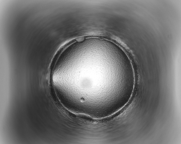 X0000096421222200801311406