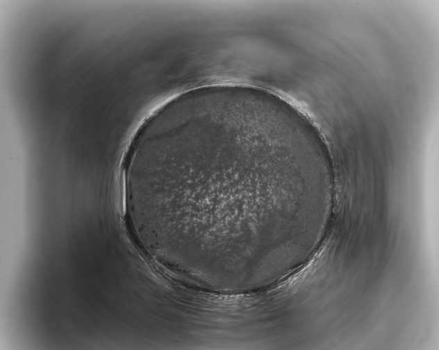 X0000096421223200801311406