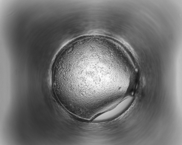 X0000096421224200801311406