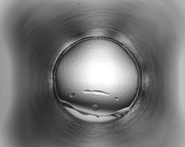 X0000096421226200801311406