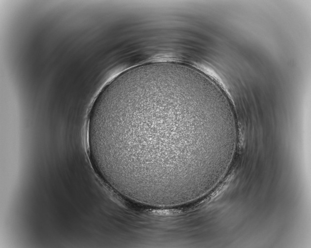 X0000096421227200801311406